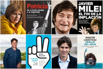 En la biblioteca electoral hay novedades y libros que ya tienen unos meses, pero igual avivan la campaña