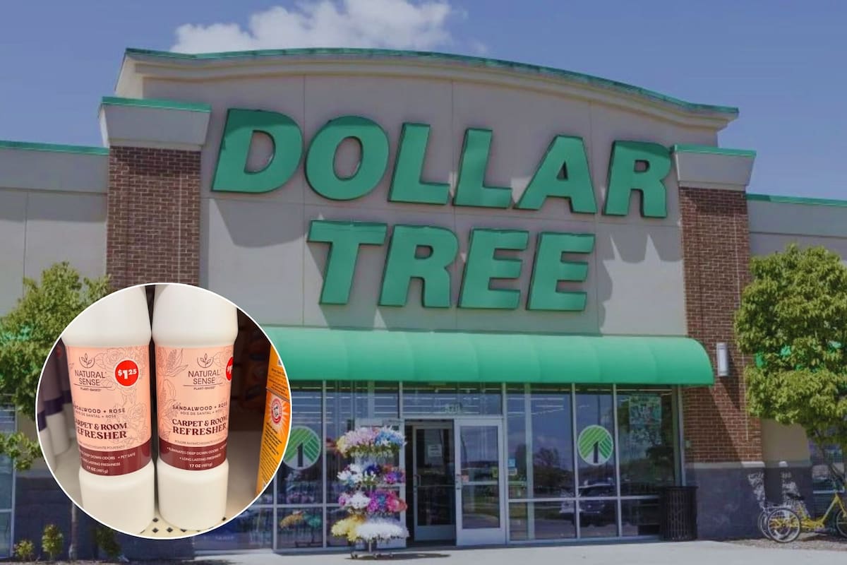 En la cadena de tiendas de Dollar Tree siempre hay grandes descuentos