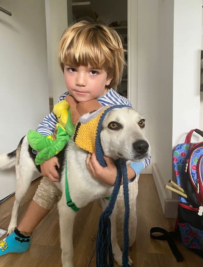 En la casa de María Elena Tapia ya tenían 17 perros rescatados