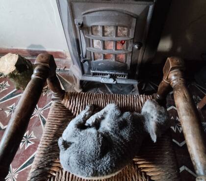 En la casa llenó la bañadera de agua caliente para darles un shock de calor a los corderitos. Con un secador de pelo les secó la lana y luego los tapó con sus frazadas de su cama. Los llevó cerca de la cocina económica y de la salamandra que estaban encendidas