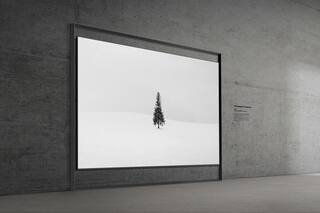 Presentaron un televisor Micro RG de 130 pulgadas