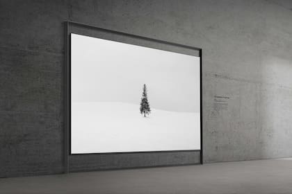 En la CES 2026 de Las Vegas Samsung presentó un televisor Micro RGB de 130 pulgadas