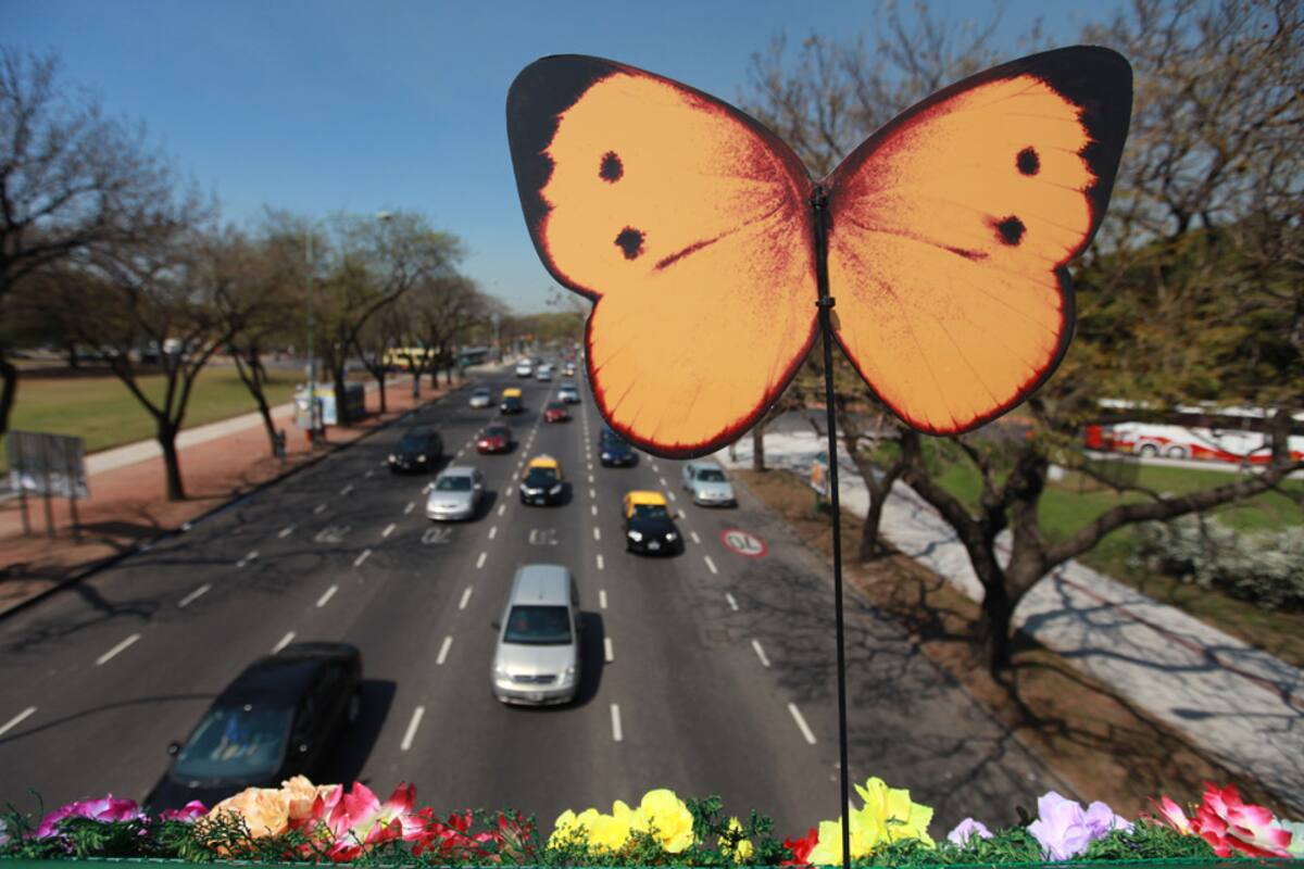 En la ciudad de Buenos Aires, la primavera arranca este fin de semana con sol y frío