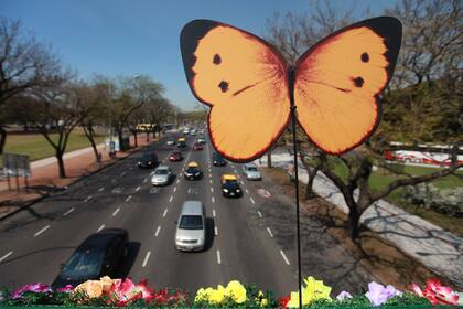 En la ciudad de Buenos Aires, la primavera arranca este fin de semana con sol y frío