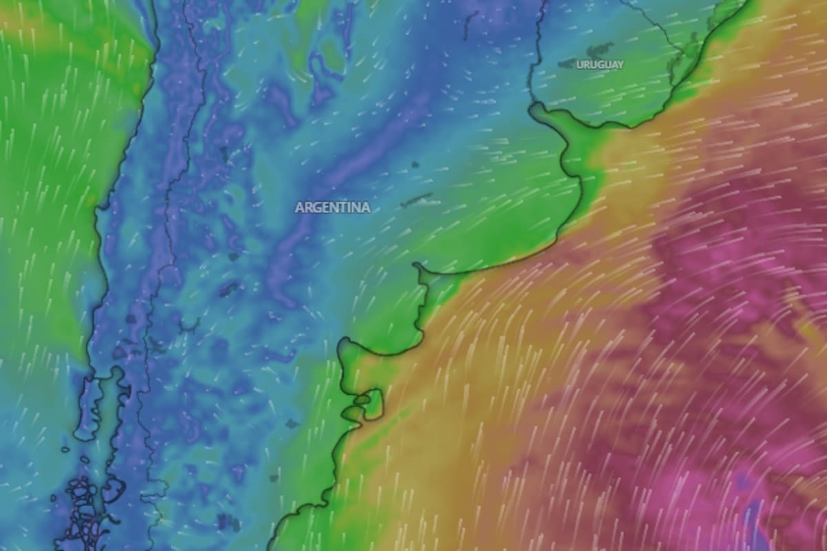 En la ciudad de Buenos Aires rige una alerta de nivel amarillo por frío extremo