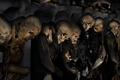 En la ciudad de Palermo, en Italia, existen catacumbas excavadas por los monjes capuchinos donde pueden encontrarse unos 8000 cadáveres de monjes y de ciudadanos palermitanos, sepultados allí durante cuatro siglos