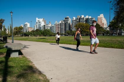 En la ciudad hay registrados 768 casos de dengue
