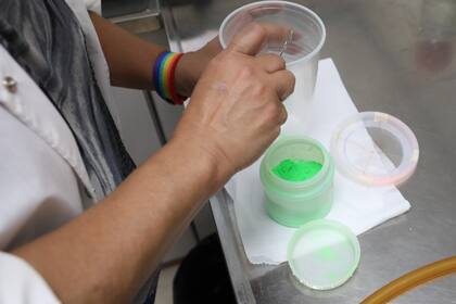 En la CNEA colorean a los mosquitos machos estériles para combatir el dengue