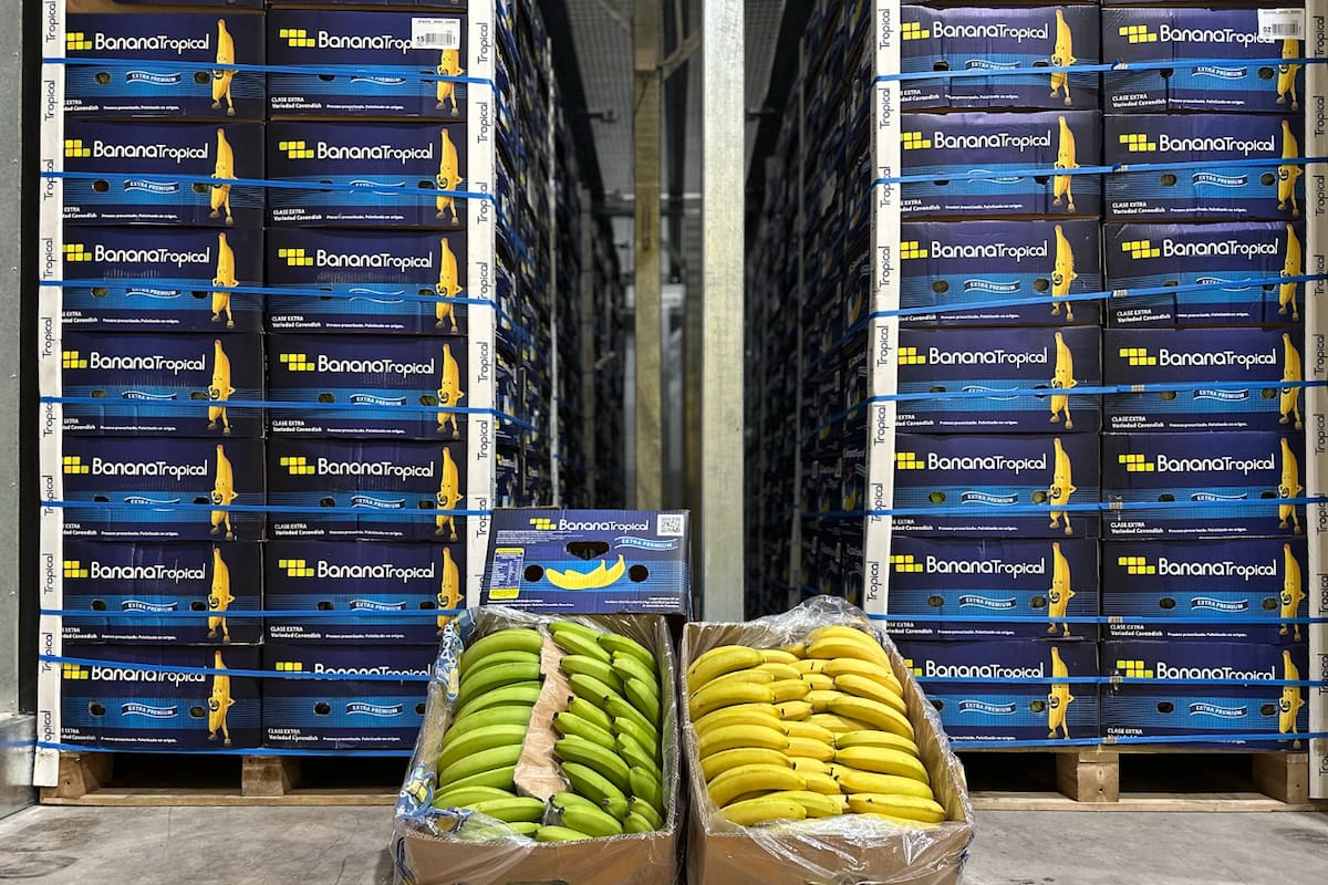 En la compañía creen que la clave está en acercar al consumidor una fruta lista para comer, tal como ocurre en otros mercados internacionales