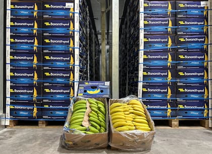 En la compañía creen que la clave está en acercar al consumidor una fruta lista para comer, tal como ocurre en otros mercados internacionales