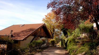 La Cumbrecita es un destino ideal para descansar, caminar por el bosque, hacer cabalgatas, visitar cascadas y disfrutar de la paz del lugar, destacó la inteligencia artificial