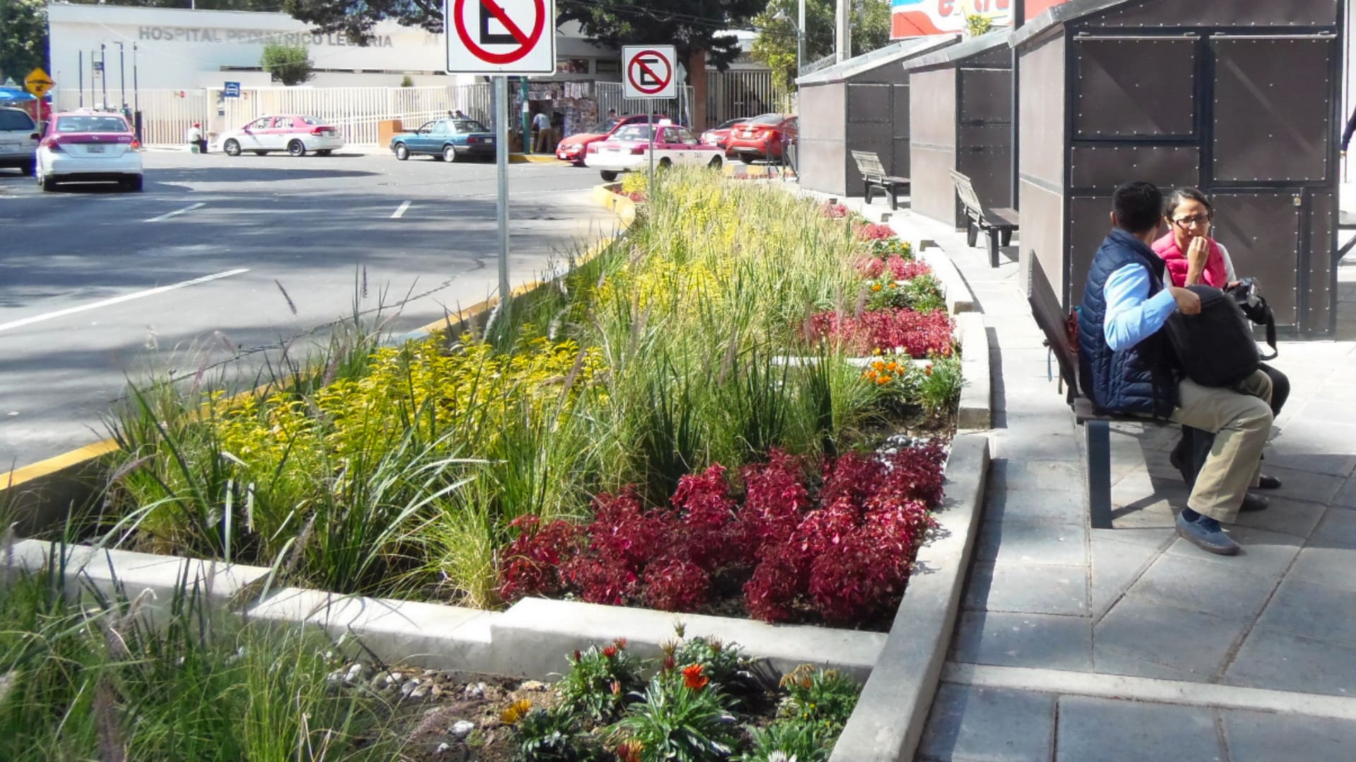 En la delegación Miguel Hidalgo de Ciudad de México, EET proyectó este jardín infiltrante sobre un segmento de la Avenida Legaria que acumulaba agua en forma de charcos y suciedad.