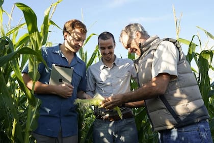 En la empresa actual hacen falta conocimientos, sistemas y equipos alineados por procesos, con mirada en los clientes, que sean capaces de generar satisfactorios resultados económicos
