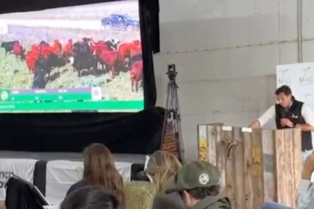 En la entidad dijeron que lo que se busca es "generar un ámbito específico de comercialización y formación de precios para este segmento”