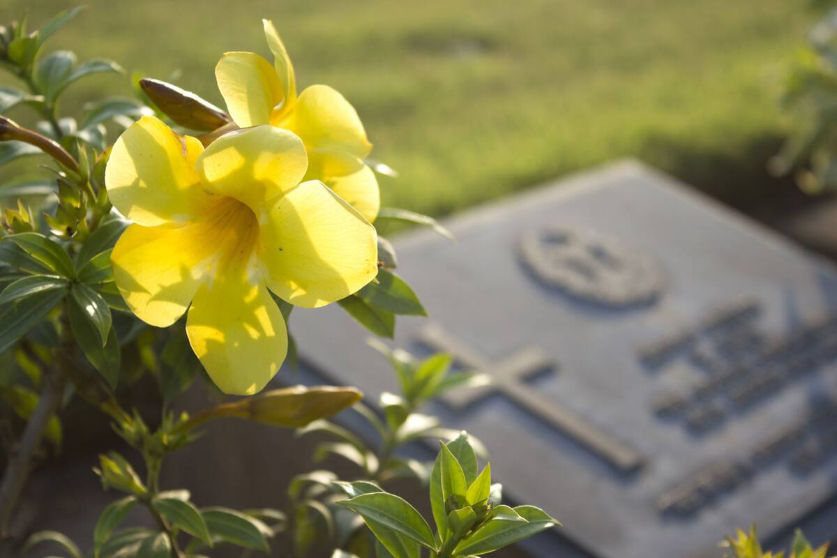 En la entrada de los cementerios elegir las flores nos llevaba un buen rato