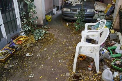 En la epidemia de 2015-2016, el desorden en el patio de una casa de Vicente López y viviendas en construcción favorecieron la diseminación del dengue en las manzanas a la redonda