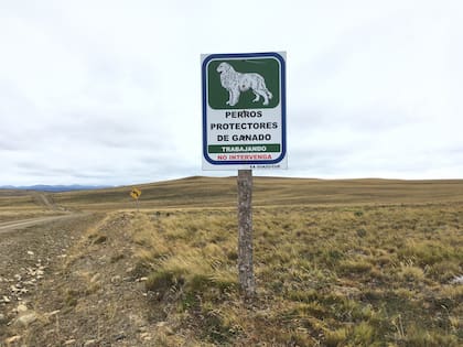 En la estancia Guazú Cué advierten sobre la presencia de perros protectores en el terreno