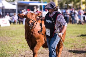 En la Exposición Nacional de Razas se expone genética de avanzada