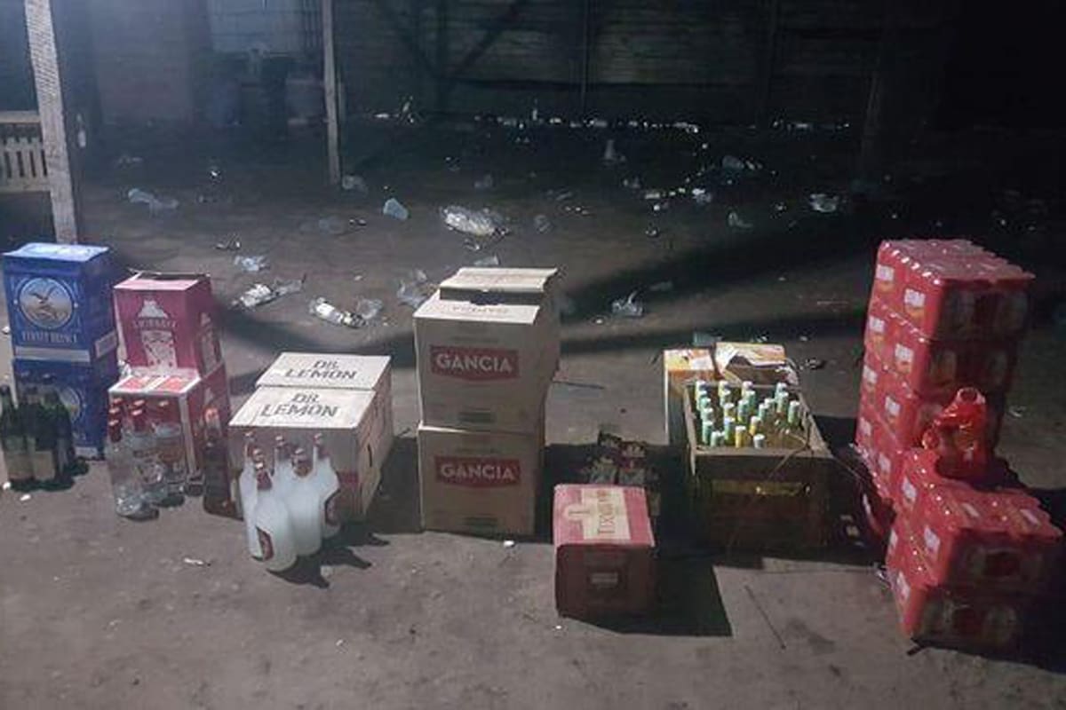 En la fiesta clandestina de La Plata había más de 500 personas celebrando Halloween