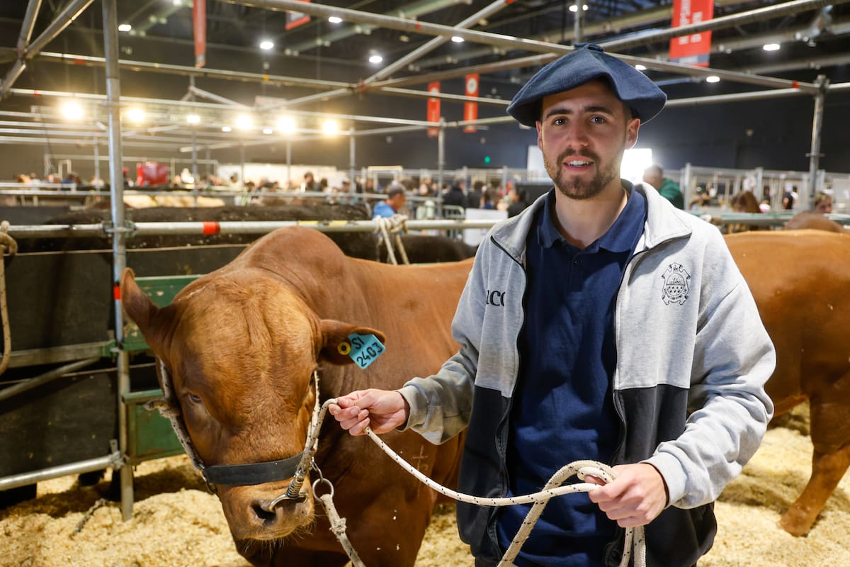 En la fila, el veterinario Ignacio Tomás de la UCA Córdoba es quien vino con los dos ejemplares de la raza bovina San Ignacio