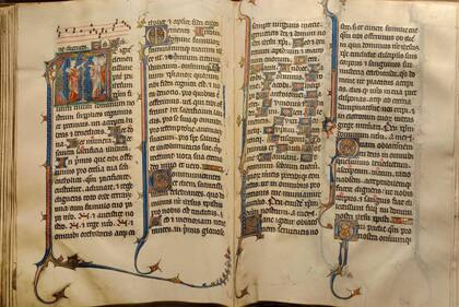En la Francia medieval se hicieron la mayoría de los dibujos de caracoles