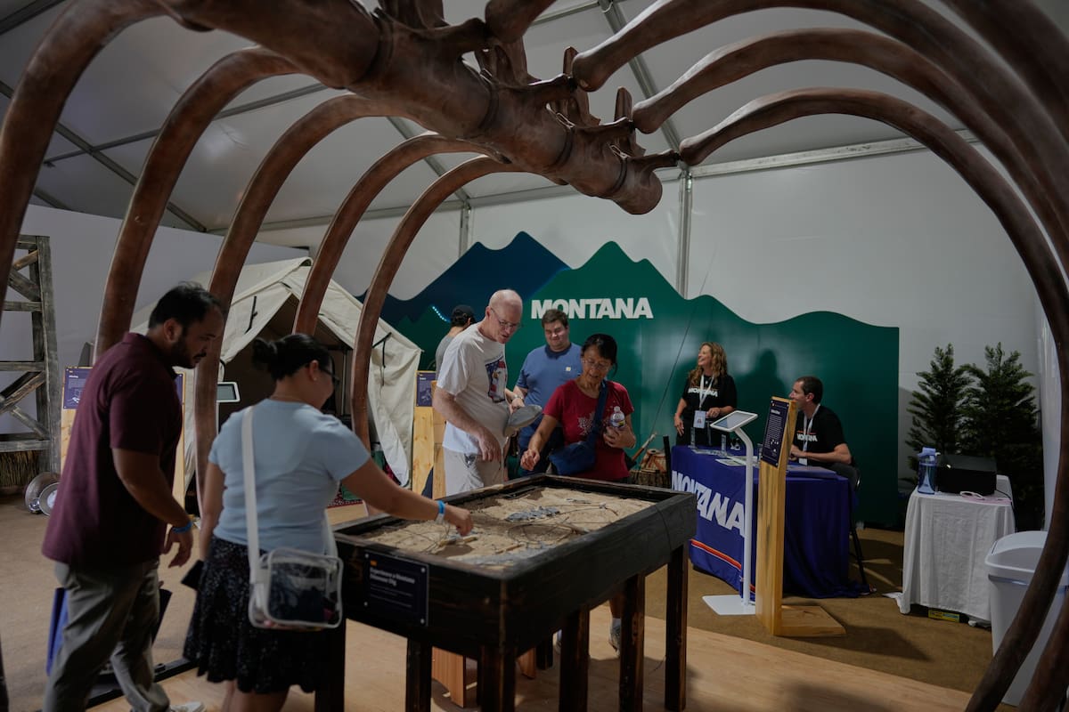 En la Gran Feria Estatal Estadounidense hay una caja torácica de dinosaurio; la unidad es otra cosa