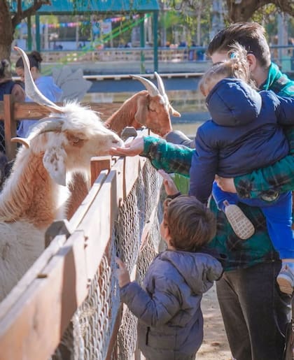 En la granja Don Benito se puede interactuar con los animales