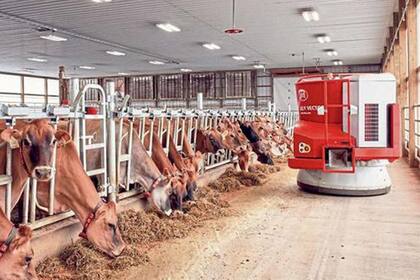 En la granja Rinvendale investigan tecnologías para incrementar la eficiencia