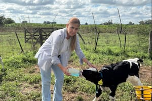 La vuelta al campo que terminó en una pyme quesera que reescribe una historia familiar