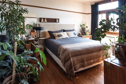 En la habitación, grupo de macetas donde se destacan aralias, schefleras y ficus ‘Amstel’.
