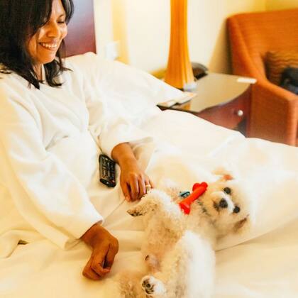 En la habitación pet-friendly del Sheraton hay platos de acero inoxidable para agua y alimento, bolsitas sanitarias y un kit de Royal Canin que incluye recipiente para transportar agua y alimento, cama con tratamiento antimicrobiano, un juguete y un bolso sustentable realizado con envases reciclados de alimento.