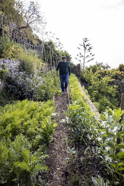 En la huerta de su casa, en Menton, que está en frente de Mirazur
