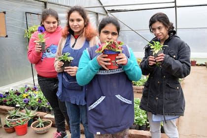 En la huerta del Centro de Formación Integral Santa Inés, destinado a chicos con discapacidad de hasta 21 años.