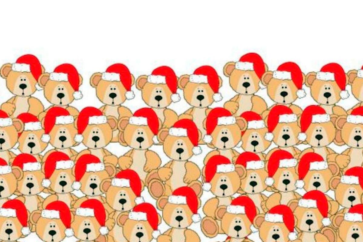 En la imagen del interior de esta nota deberás encontrar un oso que, a diferencia de los demás, no tiene tanto "espíritu" navideño