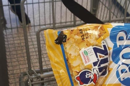 En la imagen se observa a la serpiente asomando (Foto Facebook Kimberly Slaughter)