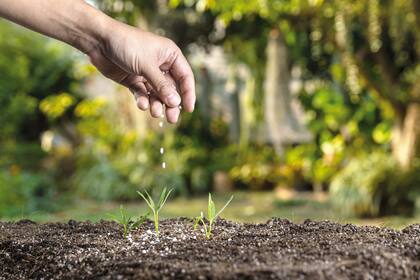 En la industria dijeron que en fertilizantes están un 20% abajo en volumen respecto del año pasado