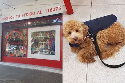 En la izquierda, el lugar donde el hombre abandonó al perro; En la derecha, "Rulo", el caniche en cuestión