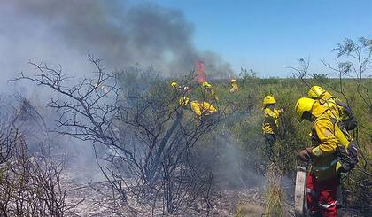 En la localidad pampeana de La Adela combatían, ayer, el fuego