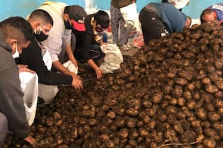Coronavirus. La donación que llevó 2,5 millones de kilos de papas a todo el país