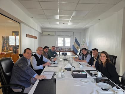 En la mesa: referentes de la industria semillera y técnicos de la Mesa de Enlace en una nueva reunión