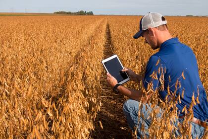 En la nueva agricultura la información cumple un rol clave para tomar decisiones