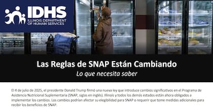 En la página del IDHS se pueden consultar los nuevos requisitos del SNAP tanto en inglés como en español (Illinois Department of Human Services)