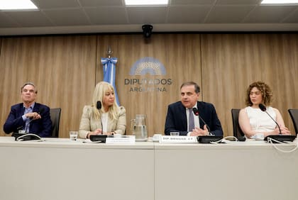 En la palabra Juan Brugge, de la comisión de Asuntos Municipales de la Cámara de Diputados