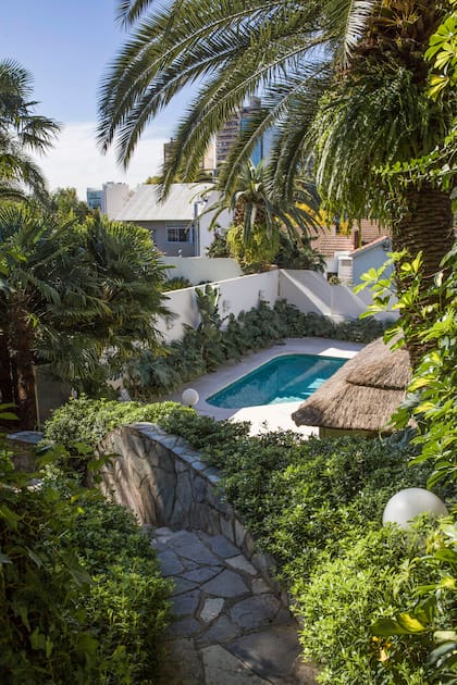 Vista desde la casa hacia el jardín posterior del terreno.