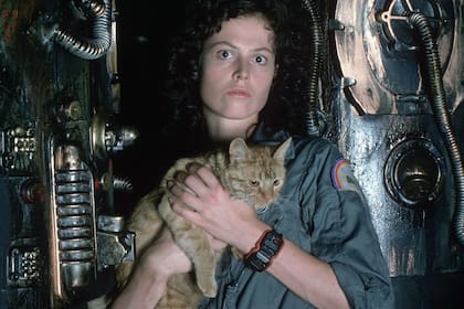 En la película Alien, de 1979, la teniente Ripley usaba dos relojes Casio F-100 enganchados por una correa que los transformaron en un icono para coleccionistas; tiempo después Casio puso en venta una versión homenaje