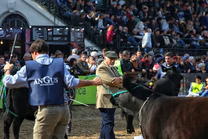 En la pista de central hubo animales de alta calidad y se percibió el interés por la actividad