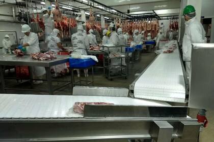 En la planta hay 300 operarios