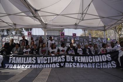 En la Plaza de Mayo se congregaron agrupaciones de familiares y víctimas de violencia de género
