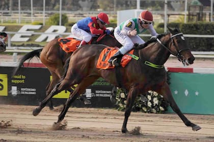 En la Polla de Potrancas, Joy Canela consiguió su primer triunfo de Grupo 1