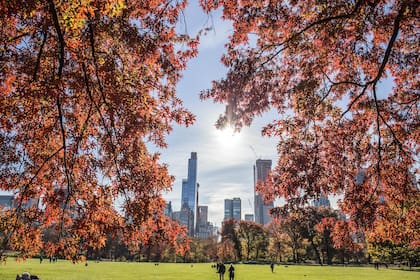 En la primavera aumentarán las actividades recreativas, deportivas y sociales al aire libre (Web/Freepik)